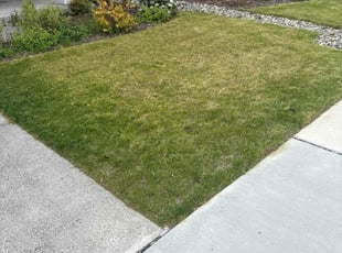 Justin M.'s Lawn Service service result