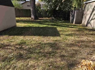 Leaf Removal by Dwyne Smith for Gordon S. in Minneapolis, MN