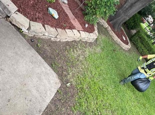 Leaf Removal by Brennen Dikes for Dennis O. in Arlington, TX