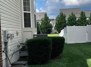 Walter P.'s Bush Trimming service result