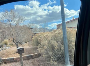 Bush Trimming by Raymond Aragon for Brian W. in Albuquerque, NM