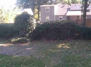 Bush Trimming by Julio Almestica for Nellie M. M. in Kansas City, MO