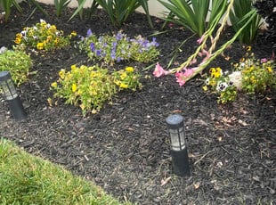 adrianne d.'s Flower Bed Weeding service result