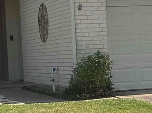 Bush Trimming by Javier Alvarez for Trevon W. in Sugar Land, TX