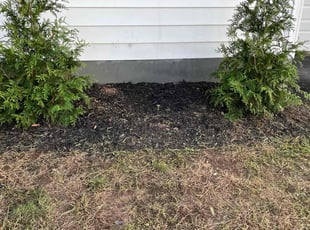Weeding by Mark Lemanski for Wilburn S. in Elmwood Park, NJ