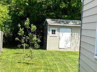 Alphonso N.'s Lawn Maintenance service result