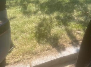 Cleanups by Harry Figueroa for Pamela A. in Springfield, MA