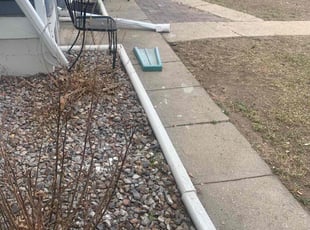 Leaf Removal by Jorge Ruiz for Kody M. in Longmont, CO