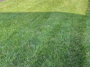 Jason P.'s Lawn Service service result