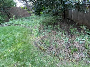 Leaf Removal by Fidel Rodriguez for Tracee G. in Arlington, VA