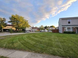 Michael N.'s Lawn Service service result