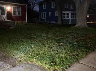 Leaf Removal by Eric Murphy for Anna K. in Madison, WI