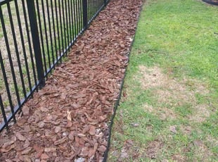 Mulching by Isabel Charrez for Carlos R. in Land O' Lakes, FL