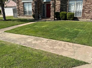 Michael M.'s Grass Cutting service result