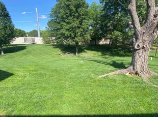 Melinda W.'s Yard Cutting service result