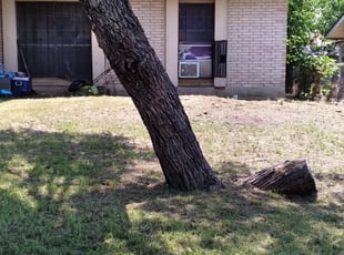 Leaf Removal by Daniel Isaac for Bluemary . in San Antonio, TX