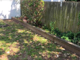 Bush Trimming by Clinton Peet for Susan J. in Norfolk, VA