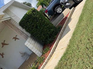 Weeding by Felipe Dothe for Marie C. in Clearwater, FL