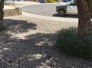 Cleanups by Toni Vaughn for Talon B. in Tempe, AZ