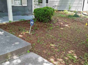 Bush Trimming by Jerry Gross Jr for Willando C. in Decatur, GA