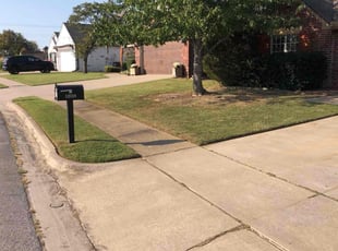 Nancy D.'s Lawn Care service result
