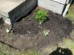 Landscaping by Ariana Dukes for Pamela P. in Canal Winchester, OH