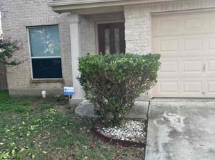 Bush Trimming by Beau Kirtner for Amanda G. in San Antonio, TX