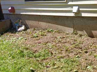 Weeding by Brandon Hill for Rose S. in Portland, OR