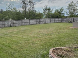 Danyell W.'s Lawn Care service result