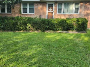 Bush Trimming by Rodney Rhone for Heather F. in Lexington, SC