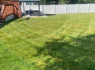 Ray M.'s Lawn Care service result