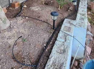 Leaf Removal by Lamont Johnson for Ann L. in Henderson, NV