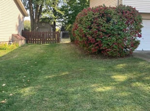 Iesha W.'s Lawn Service service result