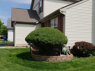Bush Trimming by Alexander Pellot Ayala for Janis J. in Blacklick, OH