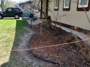 Bush Trimming by Ross Olin for Evan J. in Minneapolis, MN