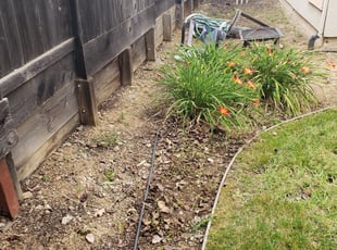 Weeding by Taylor Williams for Arun K. in Folsom, CA