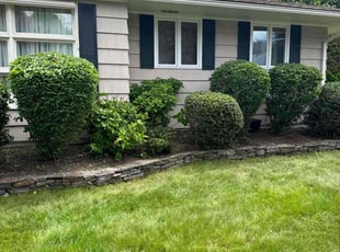 Bush Trimming by jean dopavogui for Linda L. in Waterbury, CT