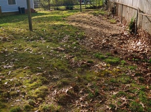 Cleanups by Chris Thomas for Filipe L. in Richmond, VA