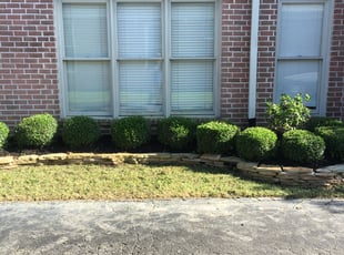 Weeding by Sam Hagadorn for Carol J. in Germantown, TN