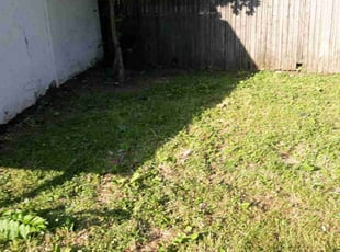 Cleanups by Mark Middleton for Jason J. in Middletown, OH