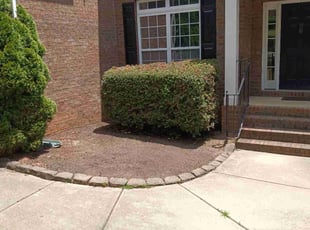 Bush Trimming by Justin Sexton for Brandon J. in Charlotte, NC