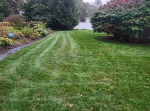 Valerie E.'s Lawn Service service result