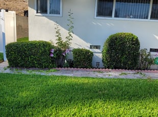 Bush Trimming by Keith Dalke for Denise L. in San Diego, CA