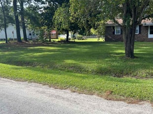 Traci P.'s Yard Cutting service result