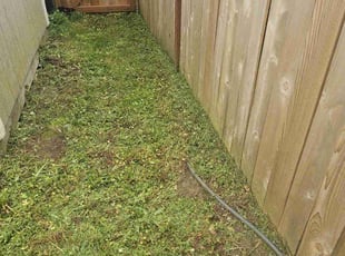 Tacarol B.'s Lawn Maintenance service result