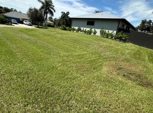 Mary R.'s Lawn Care service result