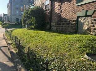 Jasmine G.'s Yard Cutting service result