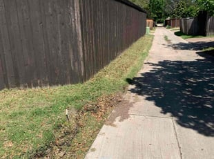 Cleanups by Roger Brock for Zuhdy Z. in Richardson, TX