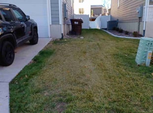 Leaf Removal by Brian Burrows for Melissa C. in Midvale, UT