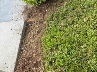 Cleanups by Matthew Achey for Channing M. in Providence, RI